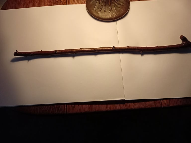 image for Genuine Blackthorn Swagger, Pointing Stick, Wand
