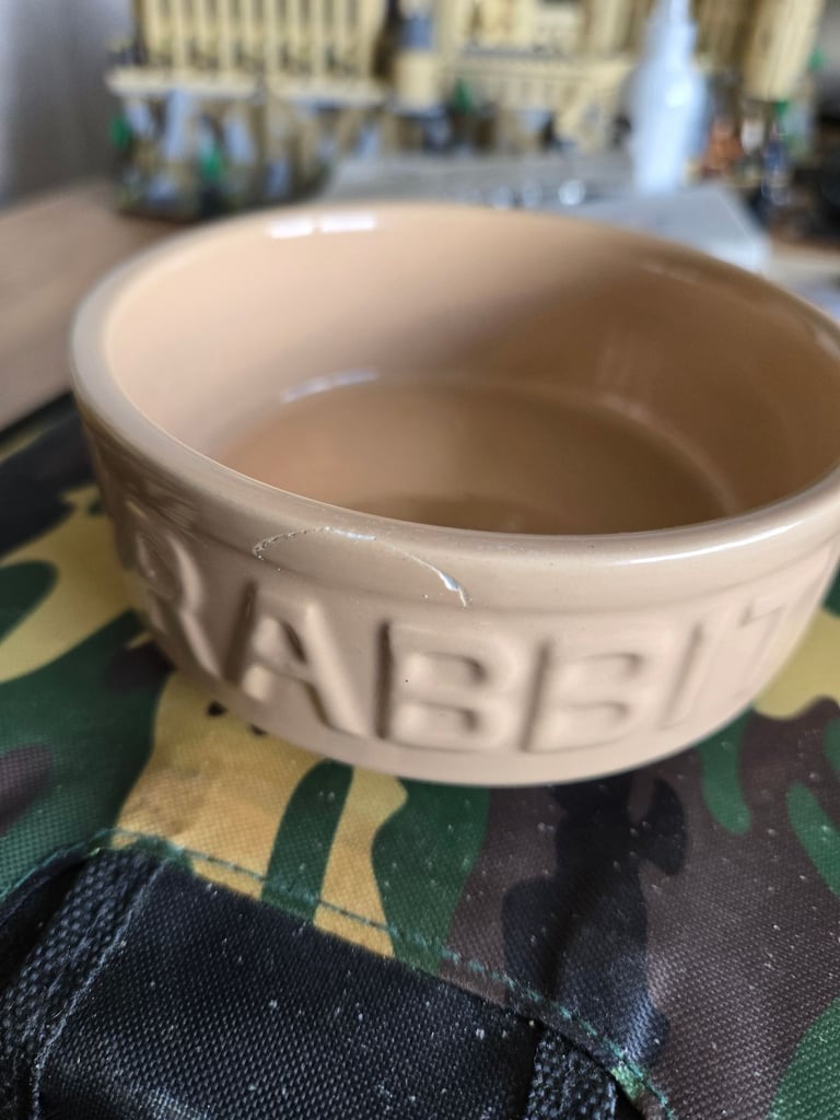 Three ceramic pet bowls 
