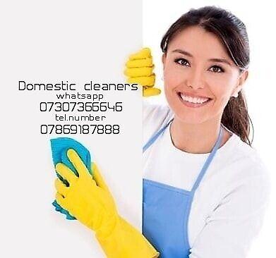 Domestic Cleaners! Short! Notice All London!