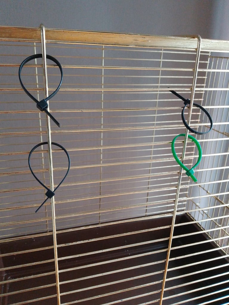 Bird cage 