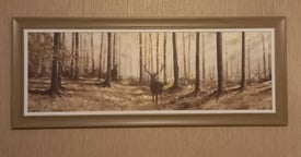 Gorgeous framed picture of stag in forest
