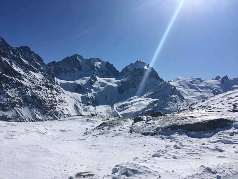 German native offers German tuition: general/business, Nat 5s, Highers, Advanced Highers