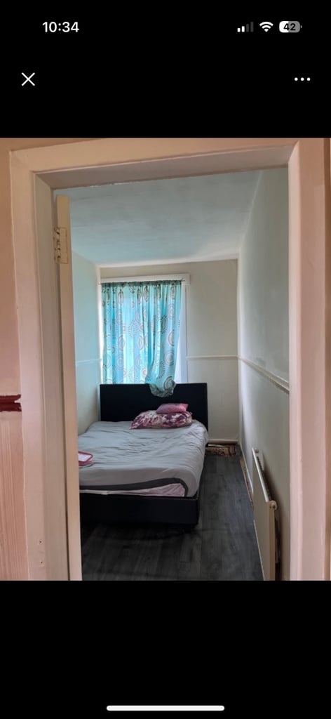 Single bed for rent