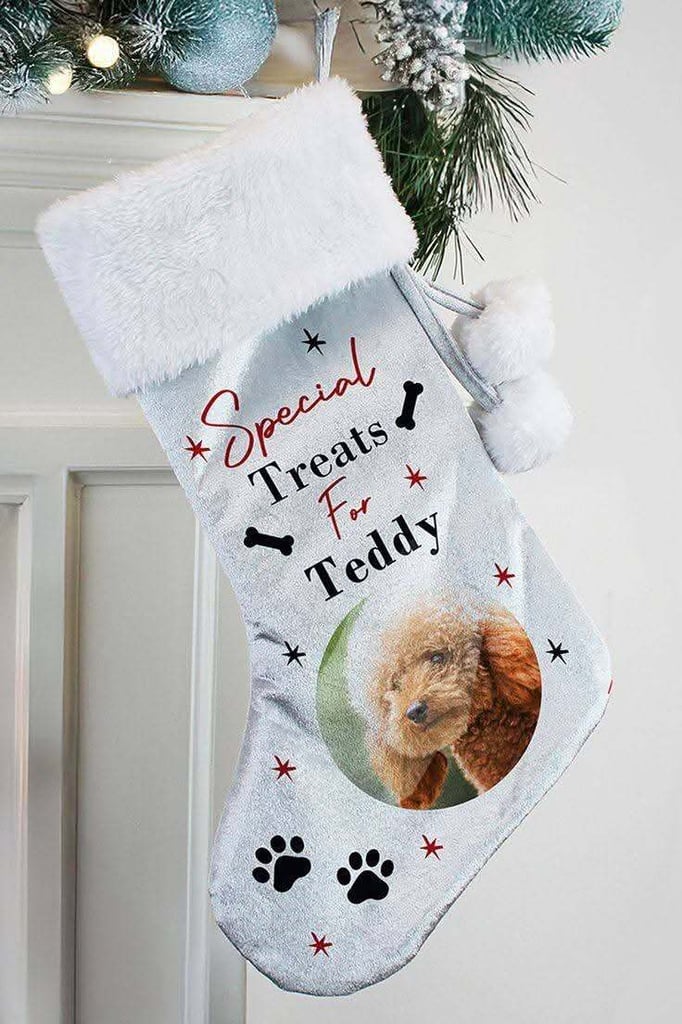 Pet Xmas Gifts