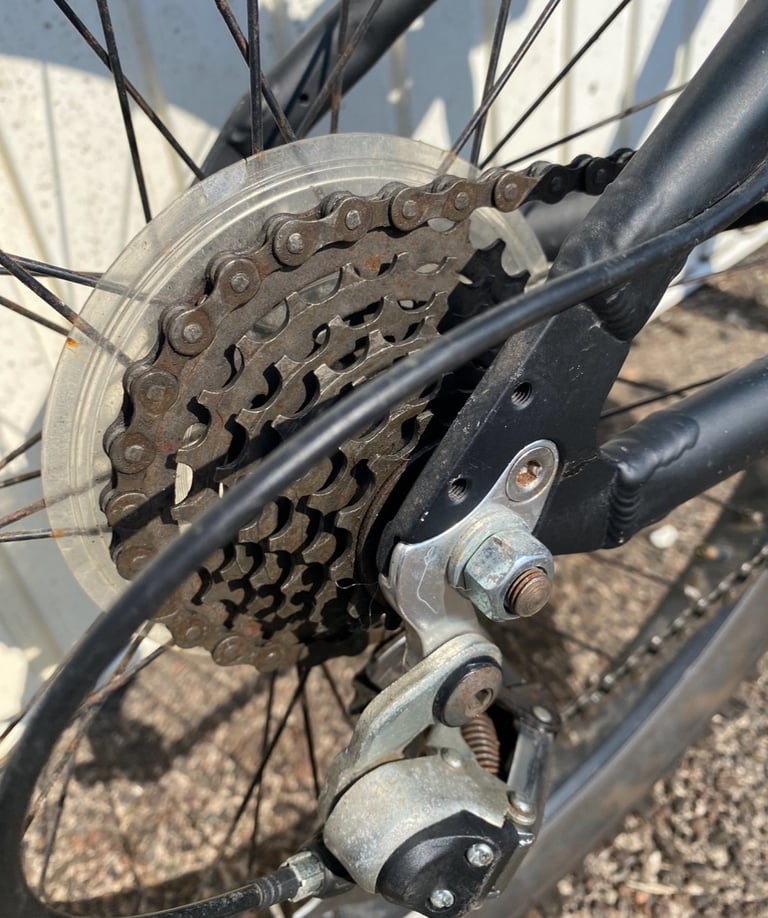 Xrated street bike 14”