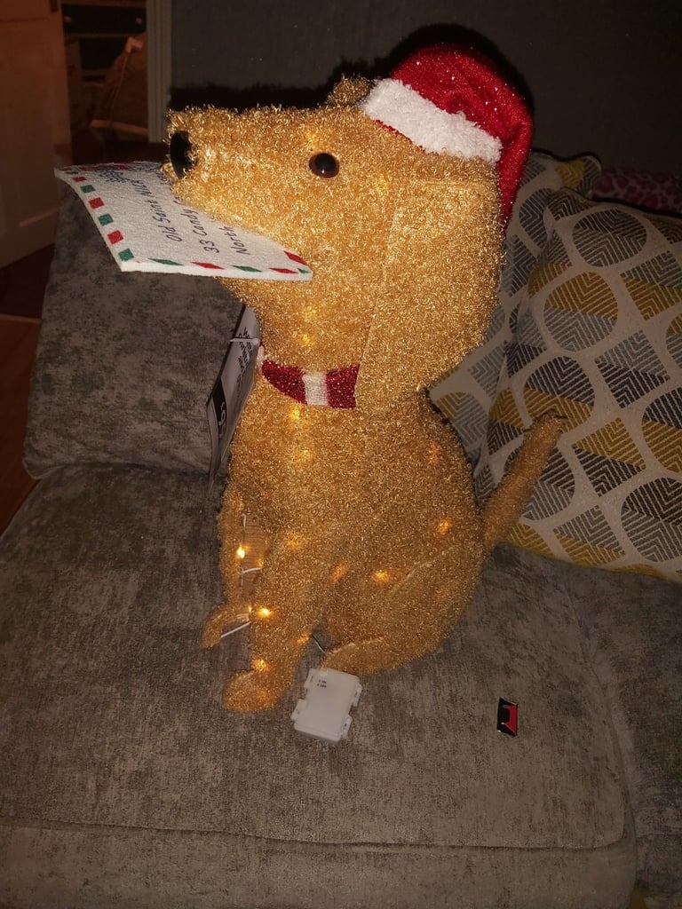 Light up Christmas dog 