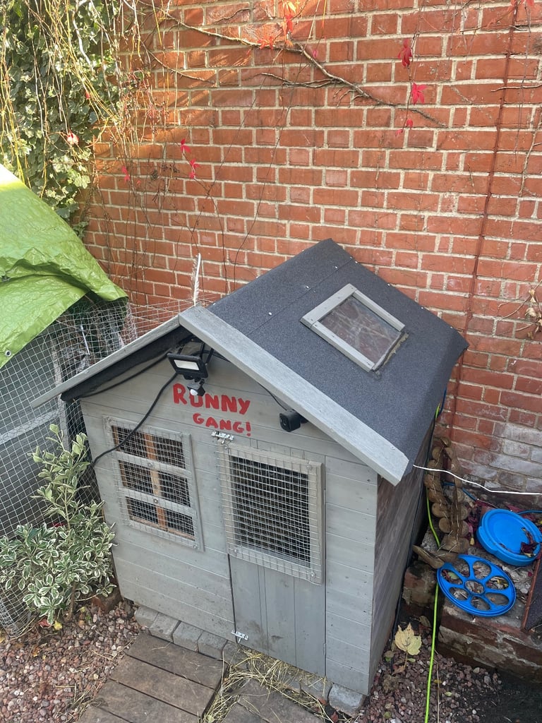 Chicken - duck coop - Hutch