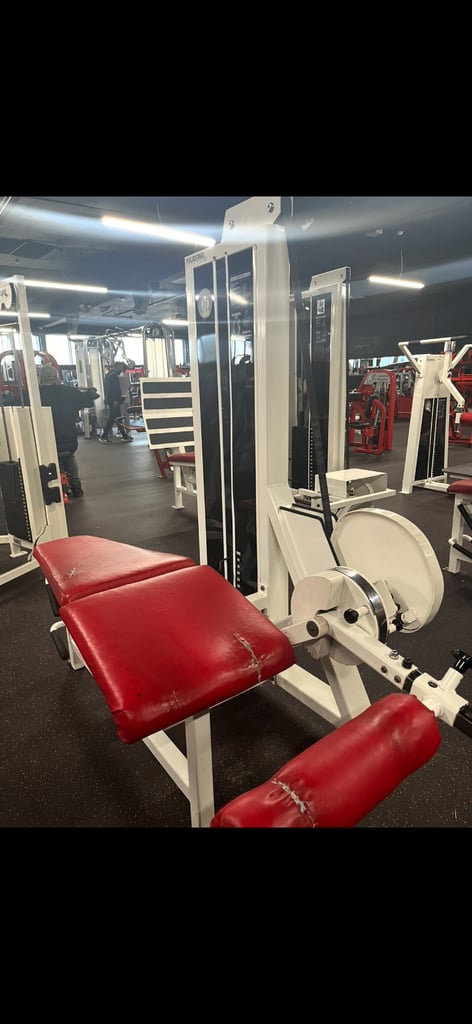 image for Leg curl machine- bargain!!! 