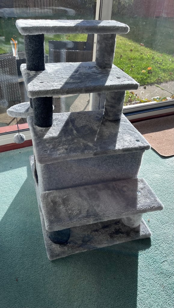 Cat Scratching Play Area 