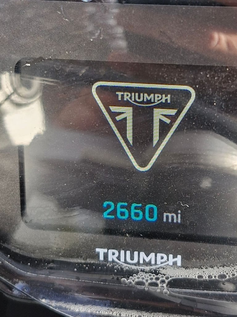 2024 Triumph Daytona 660