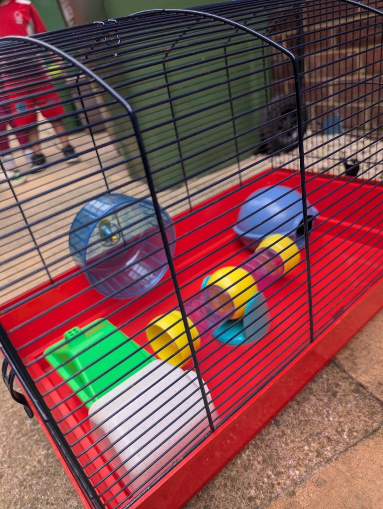 image for Hamster cage 