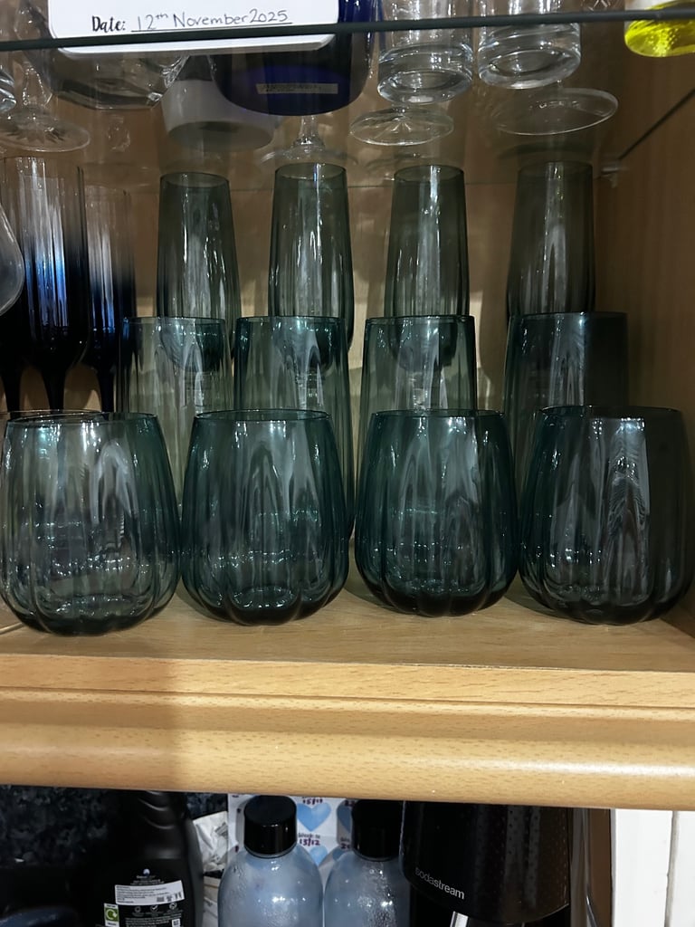 image for Habitat japonica glasses