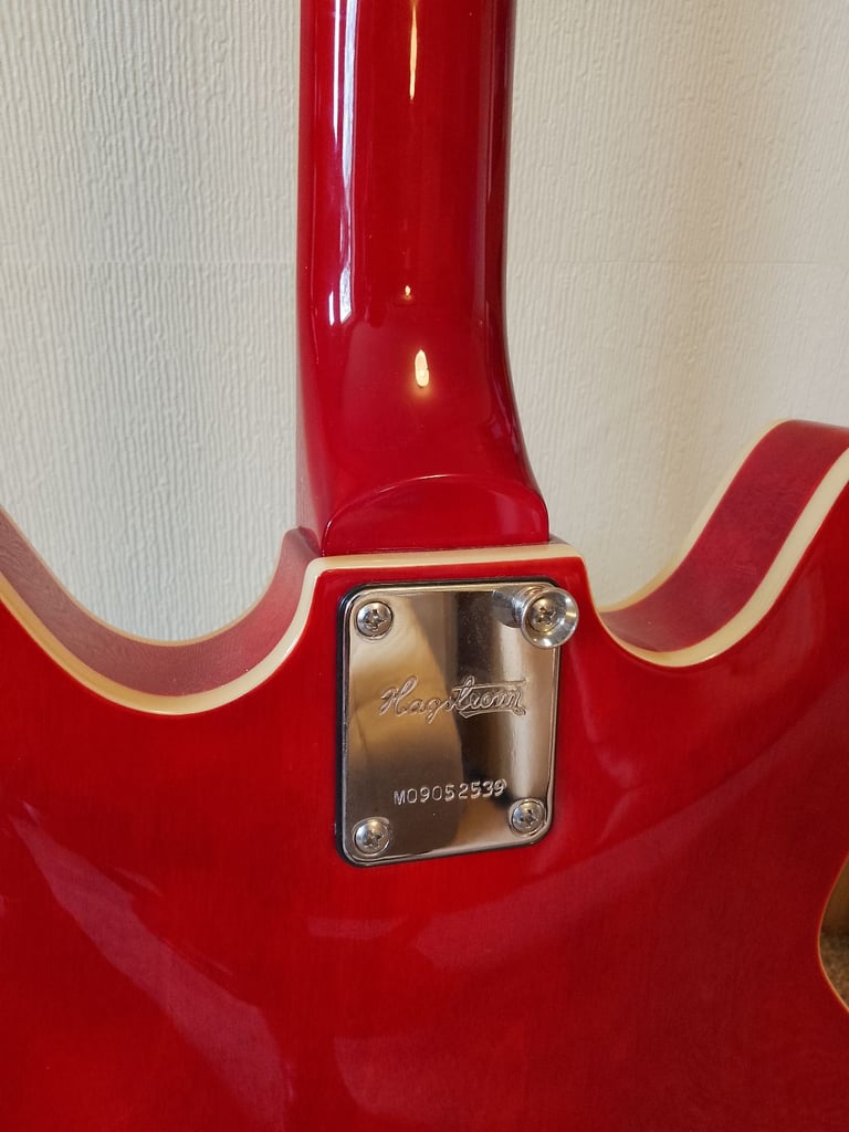 Hagstrom Viking and Hard Case.