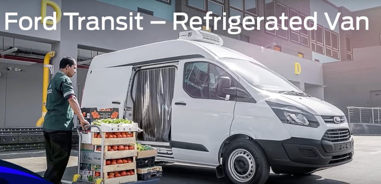 image for Chilled and Frozen Man and Van