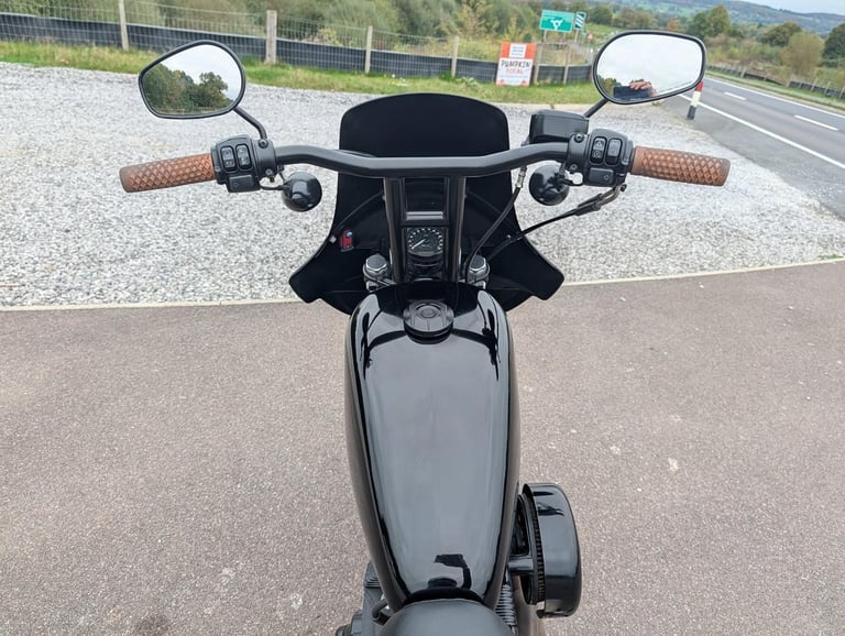 HARLEY-DAVIDSON SPORTSTER XL883N IRON