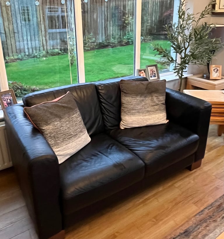 Leather Sofas and Chair