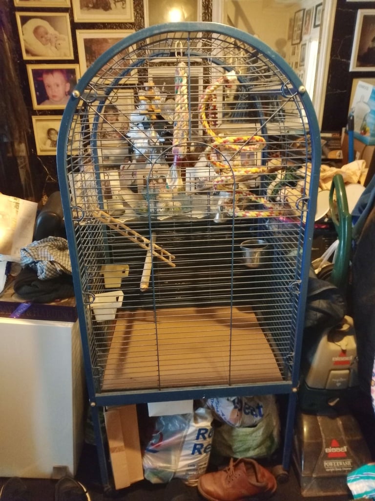 Large birds cage 