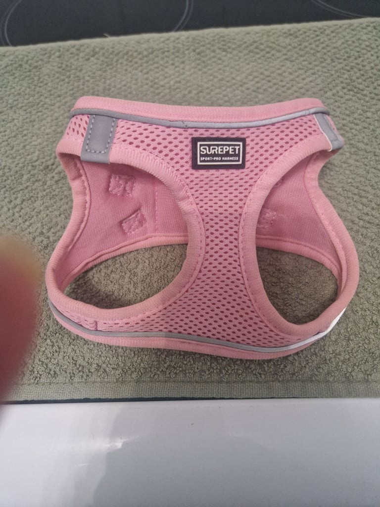 Small dog harness 