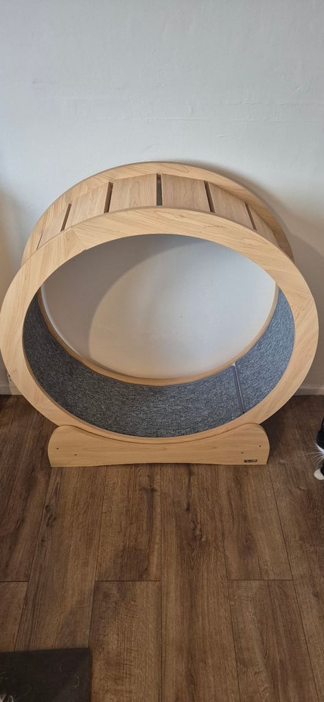 Cat Exercise Wheel