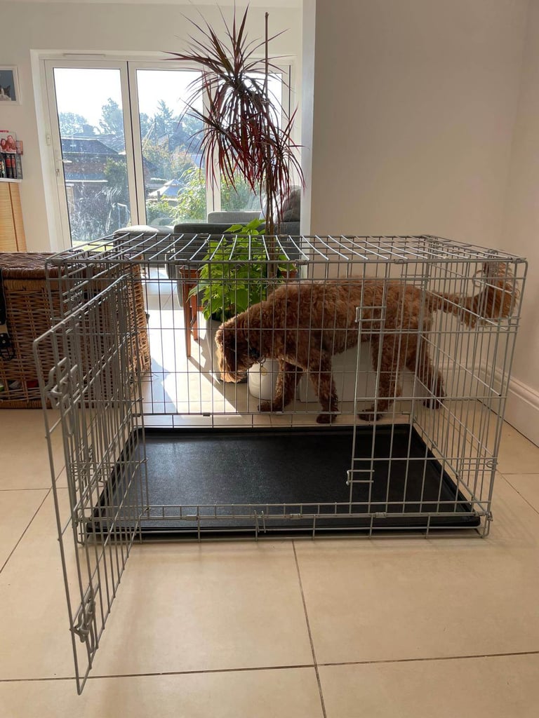 Dog cage - medium