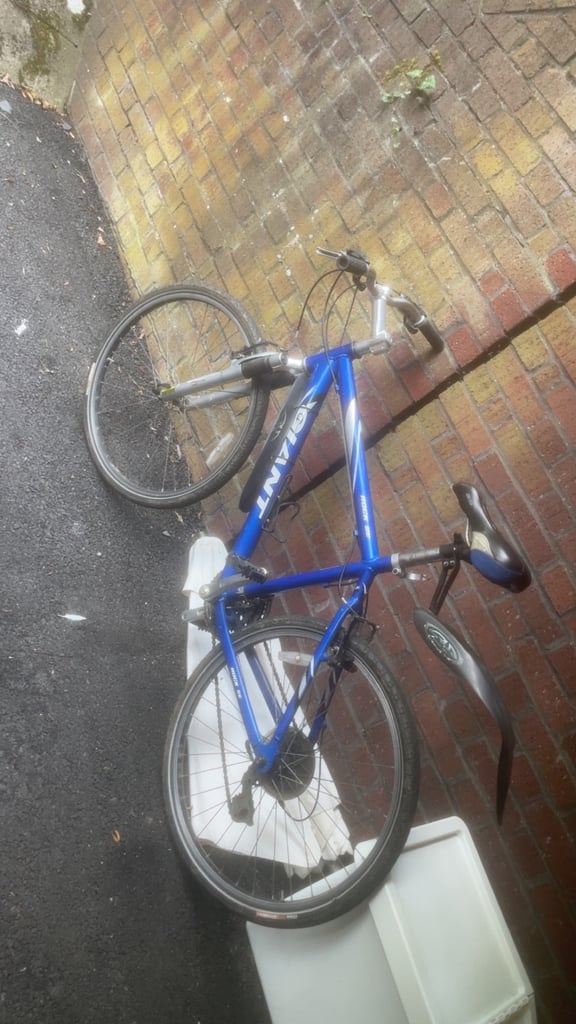 Giant adult bike. Collection only. 