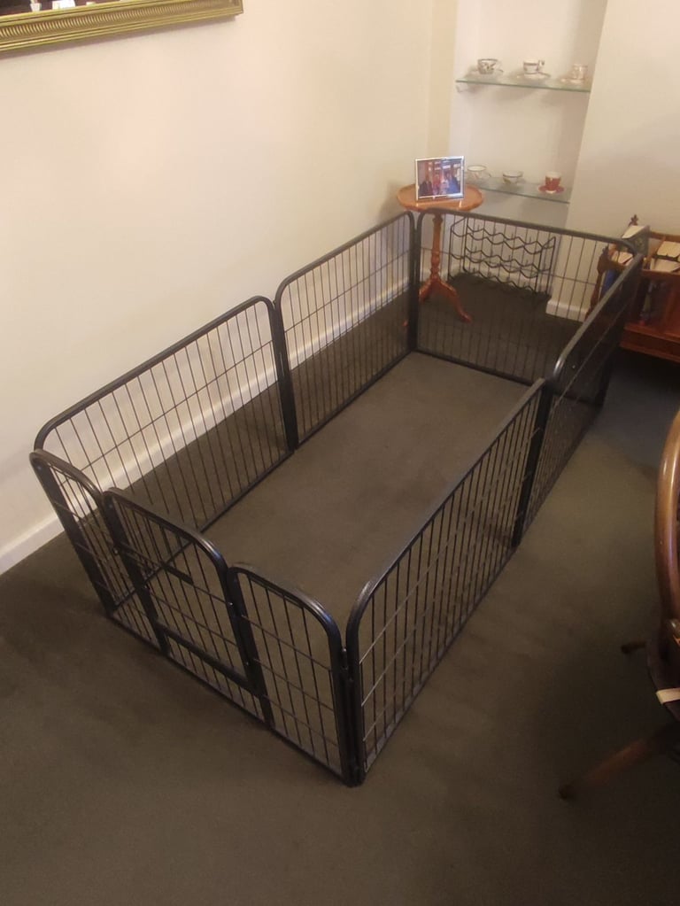 Dog pen. EllieBo.