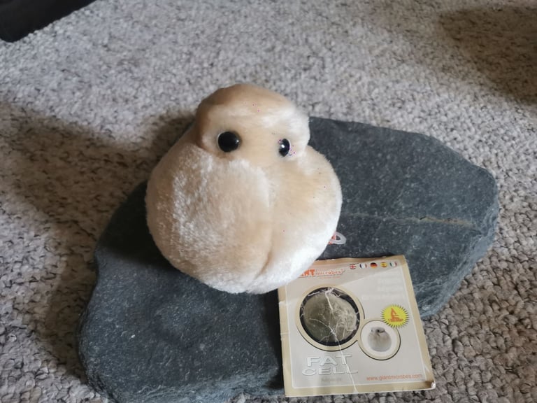 ​🦠 GIANT Microbes Plush Toy Collection - Science, Gags & Collectibles! (Bundle Price!)