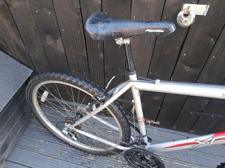 Adult Apollo Mountain Bike