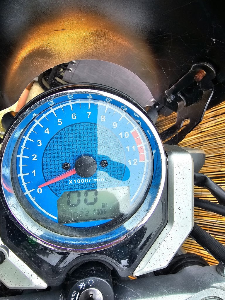 image for Lexmoto, ZSB, 2021, 124 (cc)