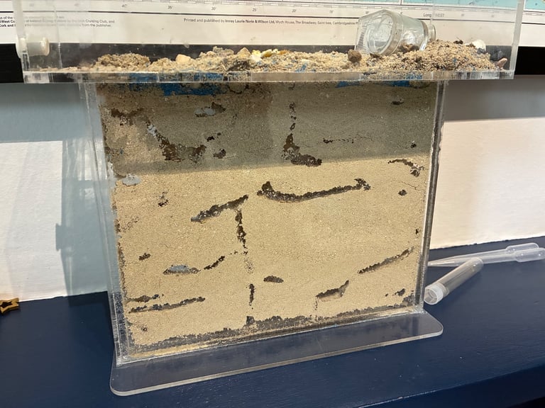 Free Ant Farm