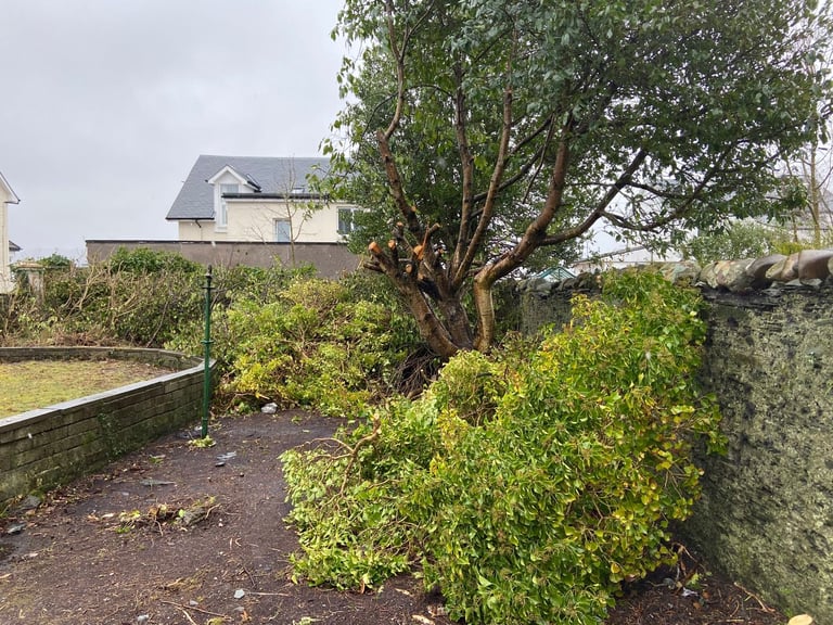 image for Seasonal Garden Care - Ayrshire and Renfrewshire