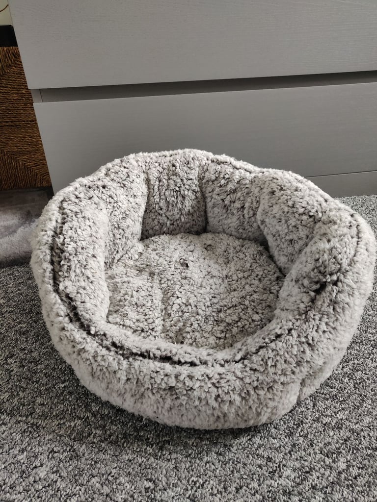 Unused cat bed (pets at home)