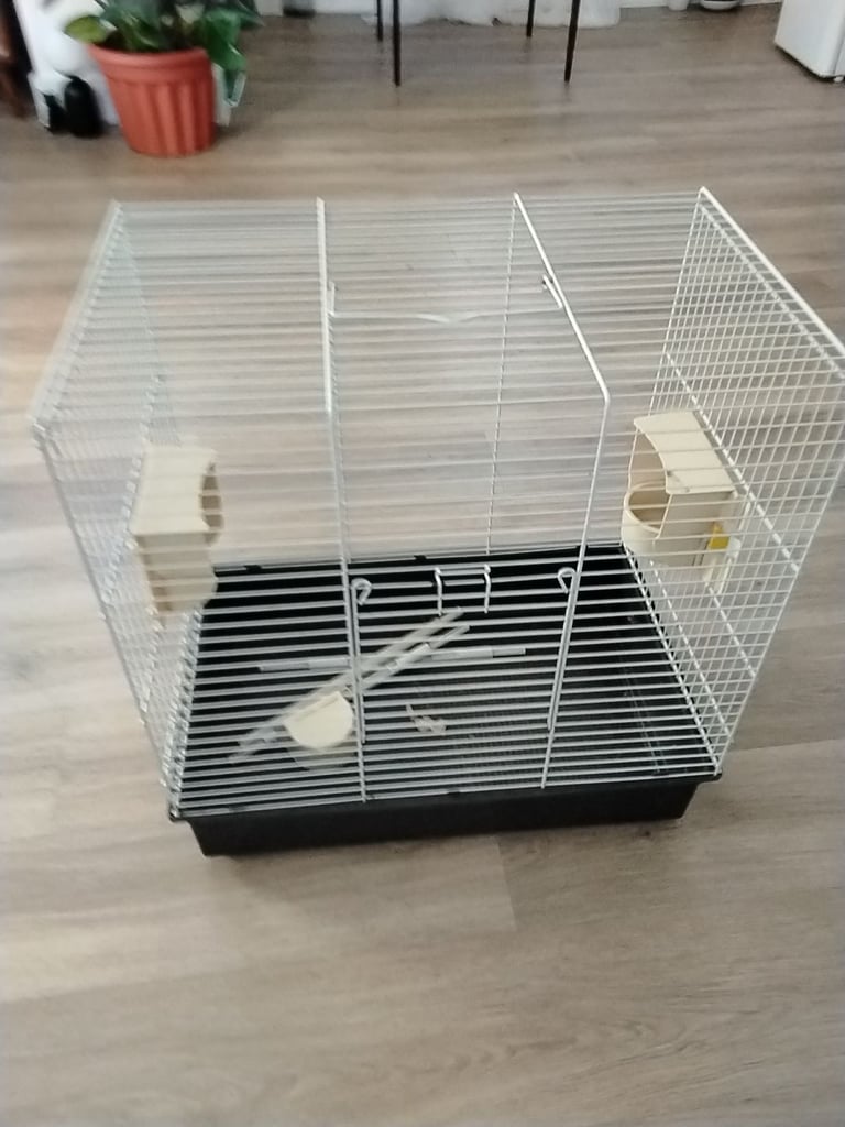 Bird parrot cage 