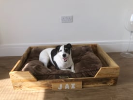 Dog Bed/Whelping Box made from 100% recycled timber