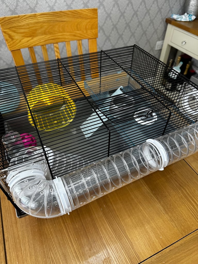 Hamster Cage 
