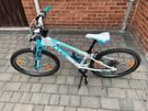 Kids Cube 240 Mountain Bike