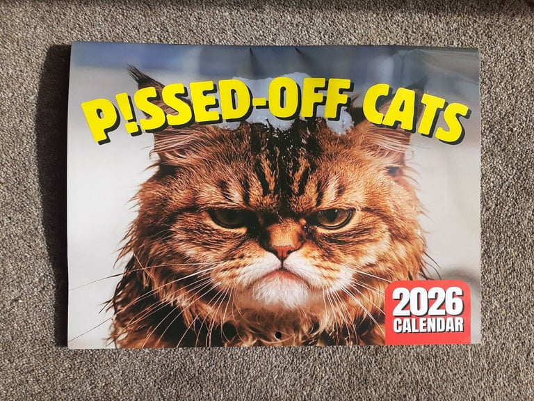 Humorous cat calendar for 2026 - nice large by Month size