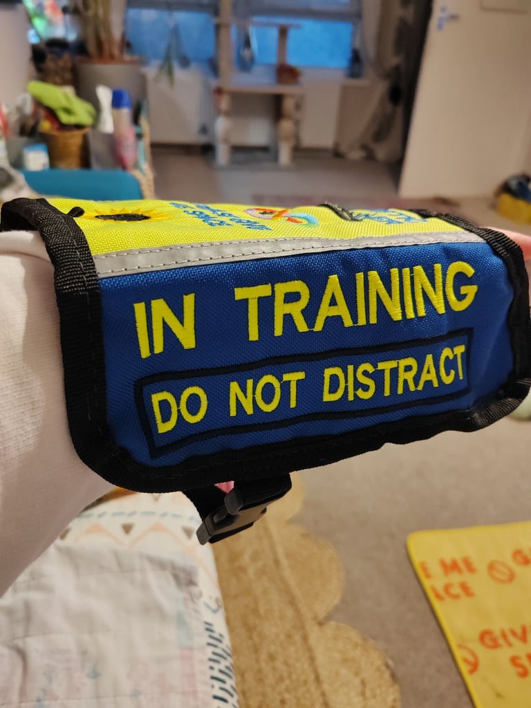 Autism assistance dog custom made vest xs 