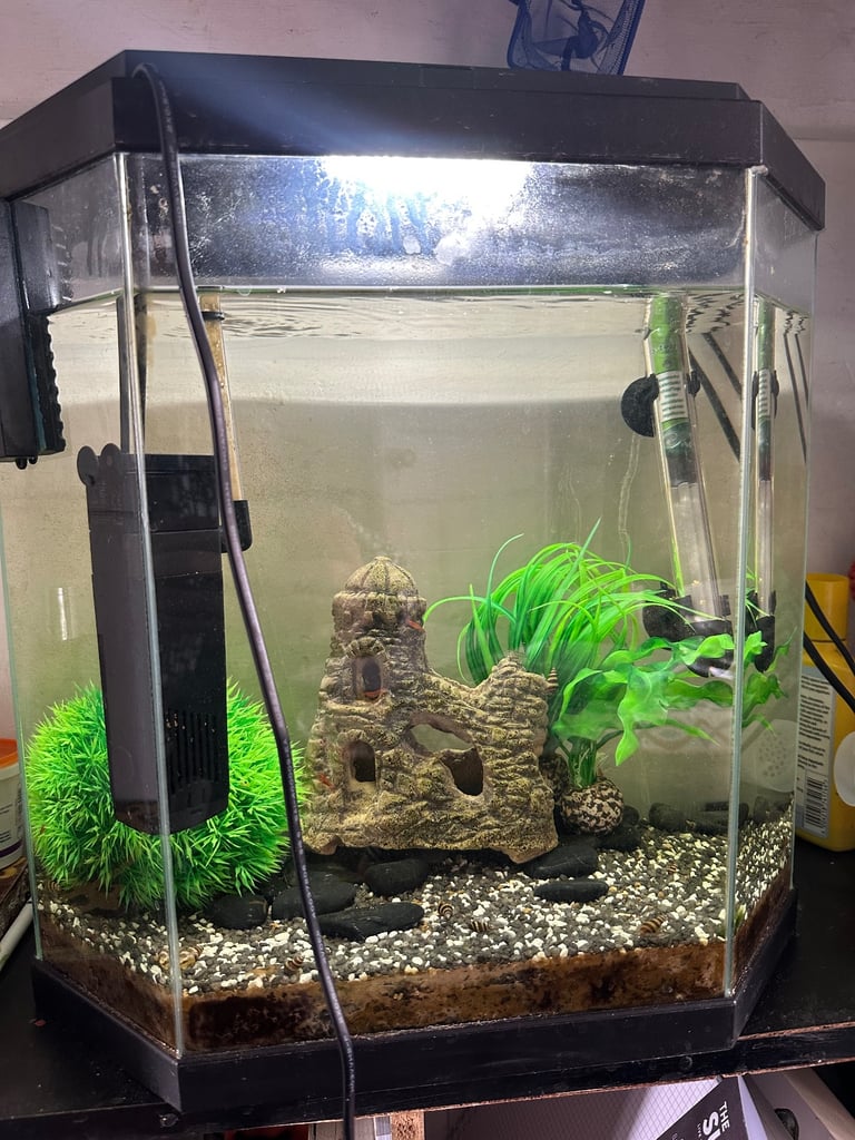 Ciano Aqua 30 Aquarium Black 25L and extras 
