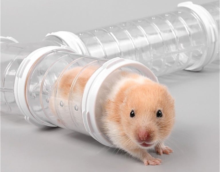 Hamster Tunnel Tubes 