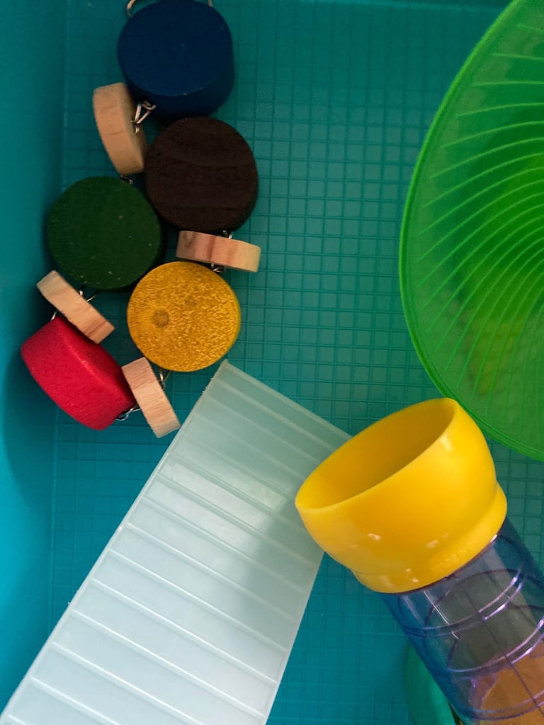 Hamster cage with extras 