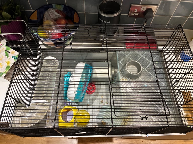 Hamster cage