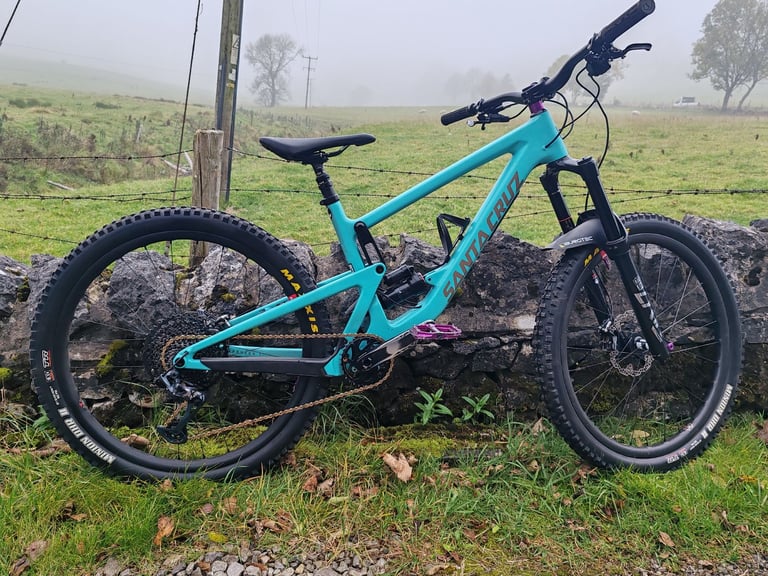 Santa cruz gumtree best sale