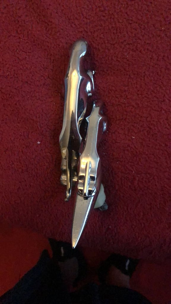 Vintage Jaguar car leaper emblems