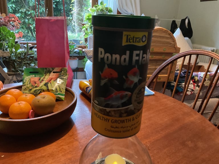 image for Fish food 