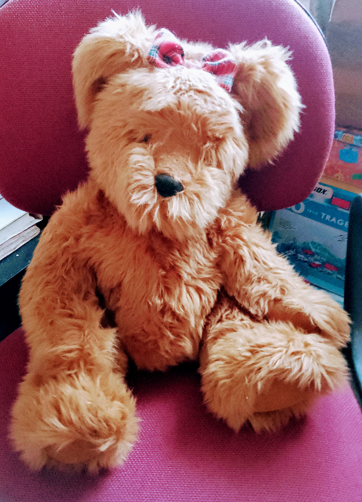 Large brown fluffy Birthday bear