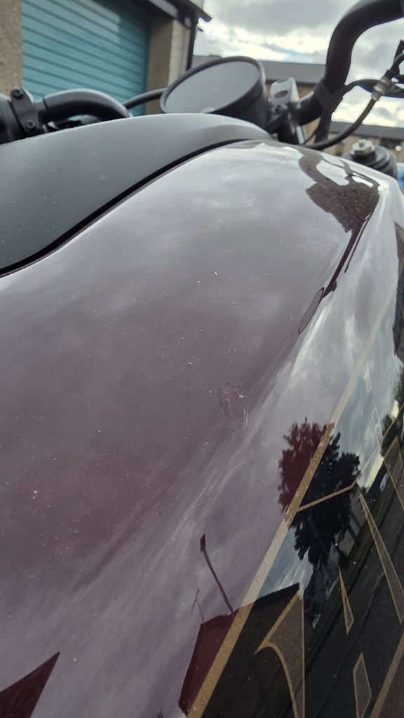 Harley-Davidson, SPORTSTER S, 2022, 1252 (cc)