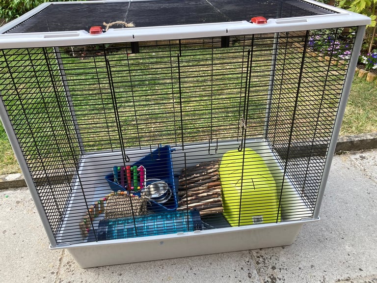 Rat cage and accessories 