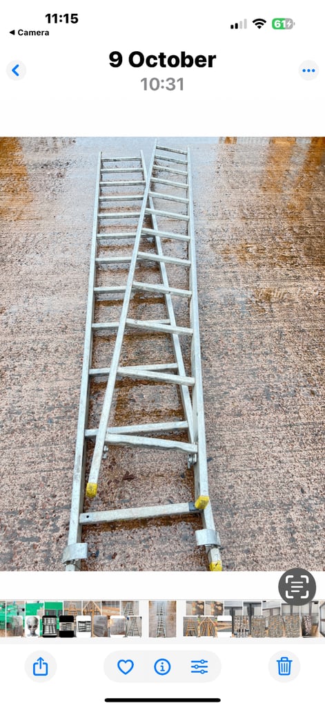 Professional Roofers Builders Ladders 
