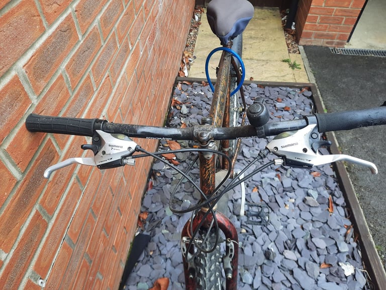 Adults Unisex Bicycle / Cycle 
